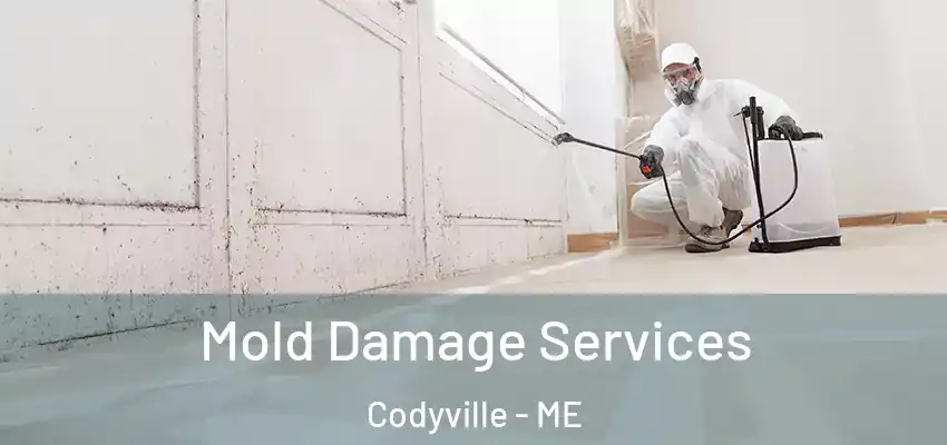  Mold Damage Services Codyville - ME