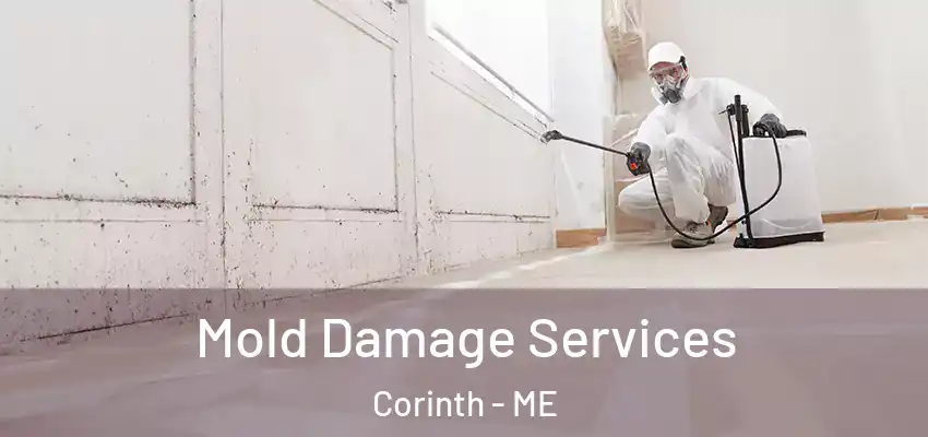  Mold Damage Services Corinth - ME