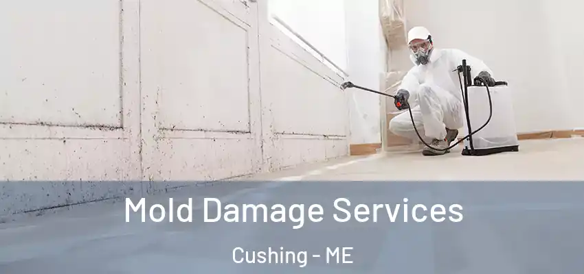  Mold Damage Services Cushing - ME