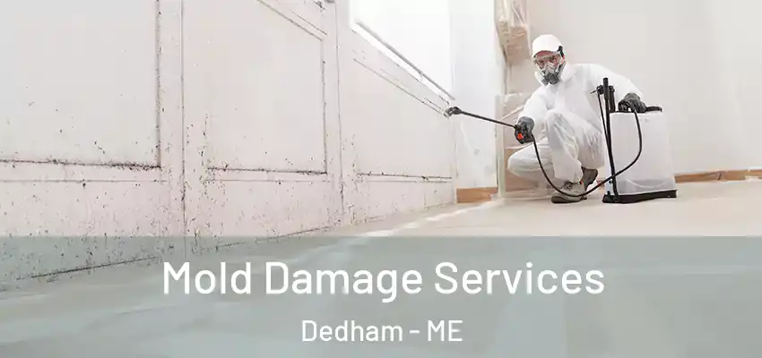  Mold Damage Services Dedham - ME