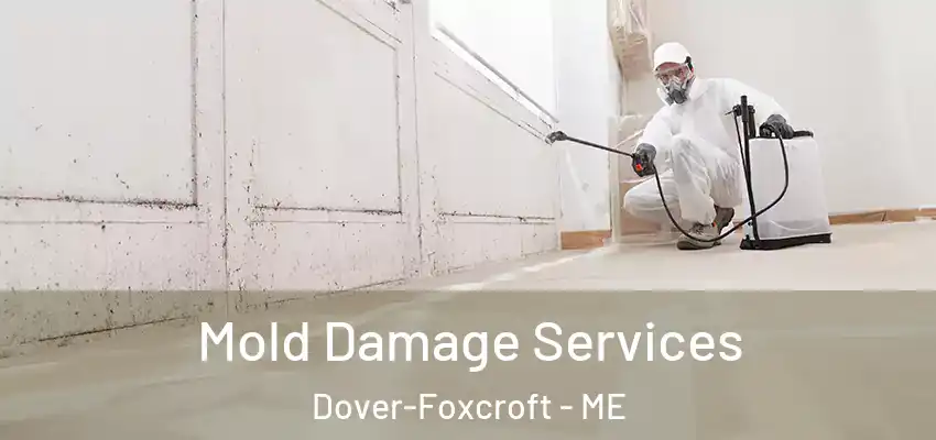  Mold Damage Services Dover-Foxcroft - ME