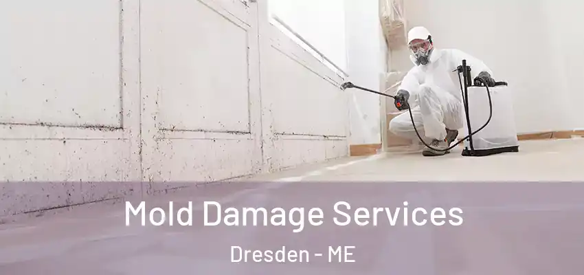 Mold Damage Services Dresden - ME