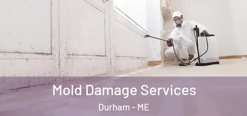 Mold Damage Services Durham - ME