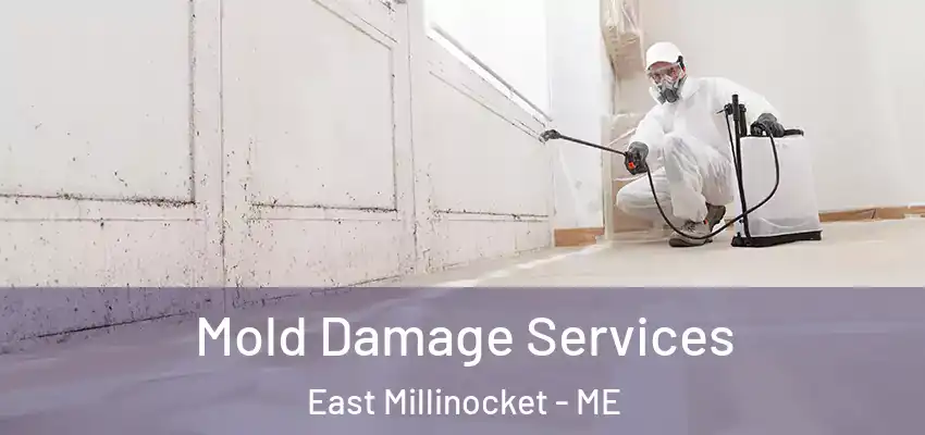  Mold Damage Services East Millinocket - ME