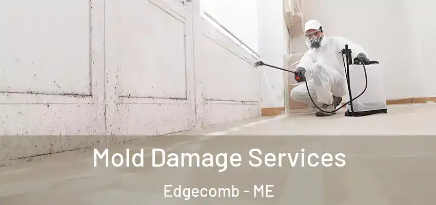 Mold Damage Services Edgecomb - ME