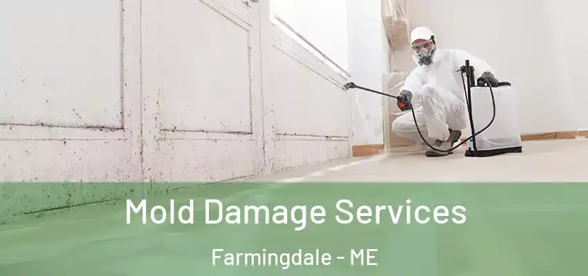 Mold Damage Services Farmingdale - ME
