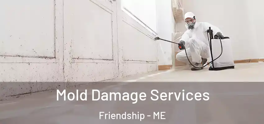  Mold Damage Services Friendship - ME