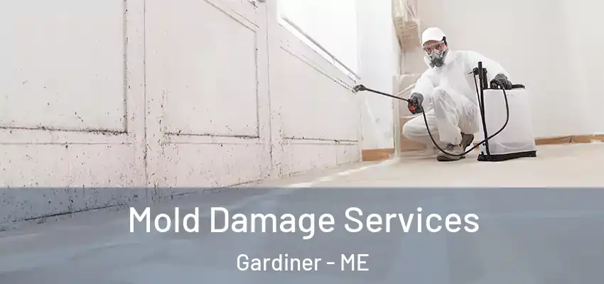  Mold Damage Services Gardiner - ME
