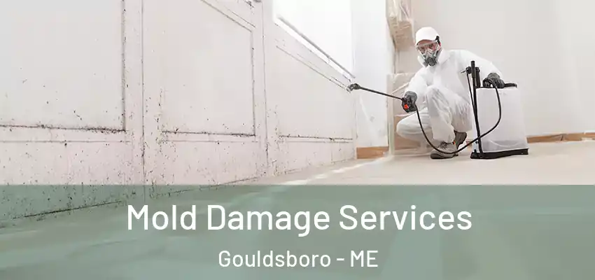 Mold Damage Services Gouldsboro - ME