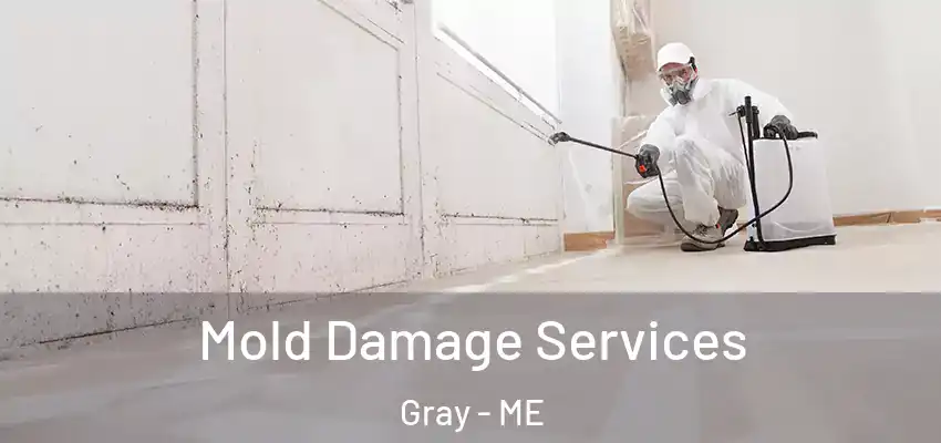 Mold Damage Services Gray - ME