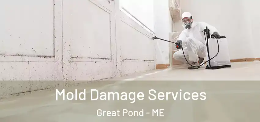Mold Damage Services Great Pond - ME