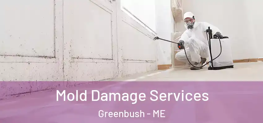 Mold Damage Services Greenbush - ME