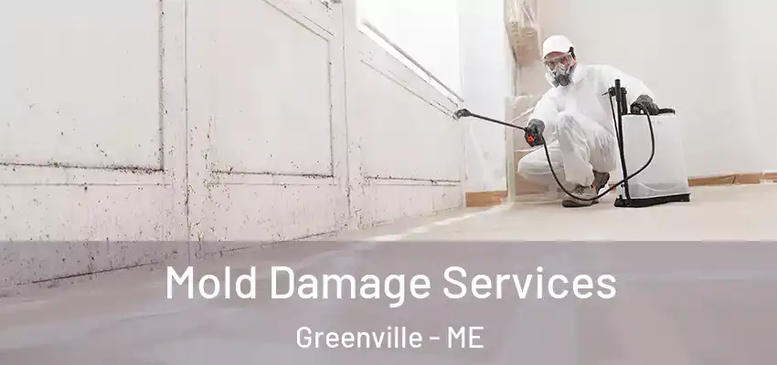  Mold Damage Services Greenville - ME