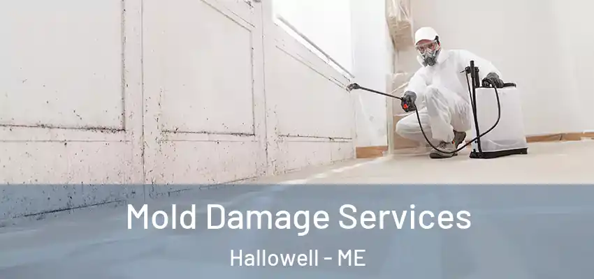  Mold Damage Services Hallowell - ME