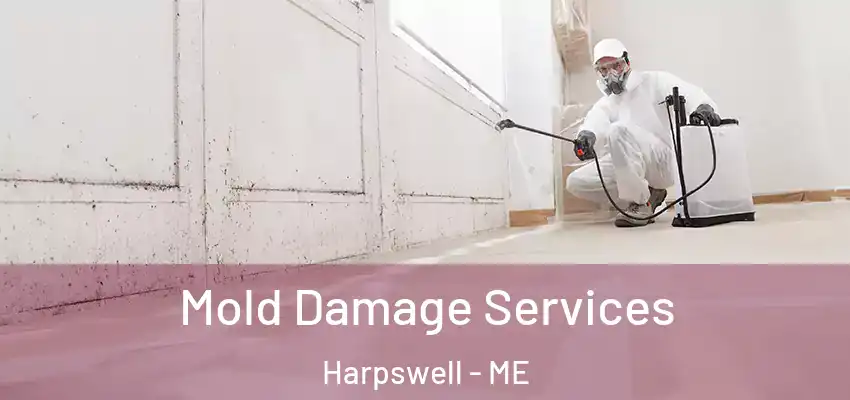  Mold Damage Services Harpswell - ME