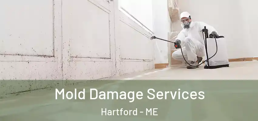 Mold Damage Services Hartford - ME