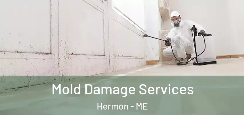 Mold Damage Services Hermon - ME