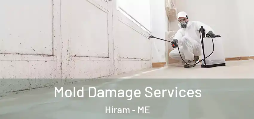  Mold Damage Services Hiram - ME