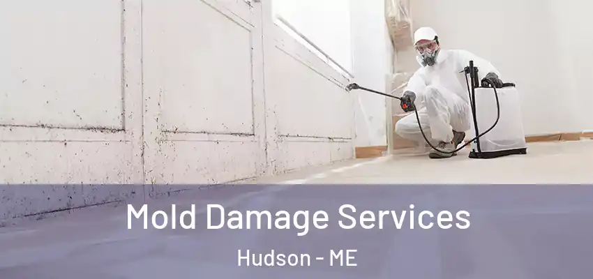  Mold Damage Services Hudson - ME