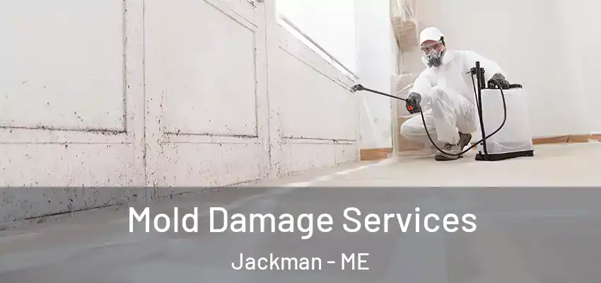  Mold Damage Services Jackman - ME
