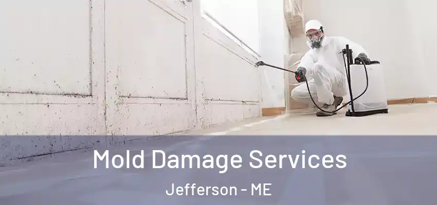  Mold Damage Services Jefferson - ME