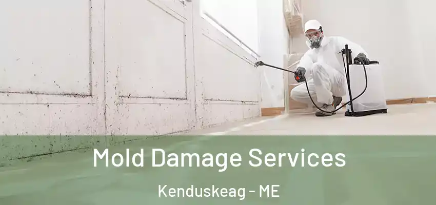  Mold Damage Services Kenduskeag - ME