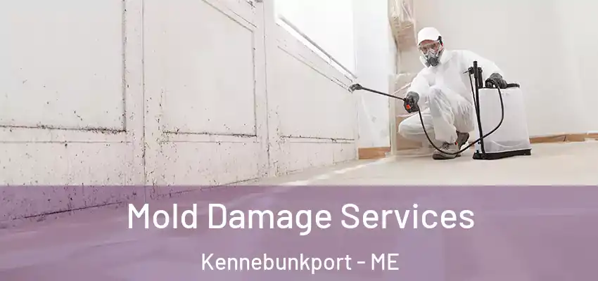 Mold Damage Services Kennebunkport - ME
