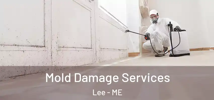 Mold Damage Services Lee - ME