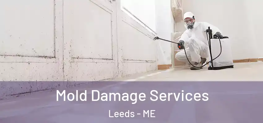  Mold Damage Services Leeds - ME