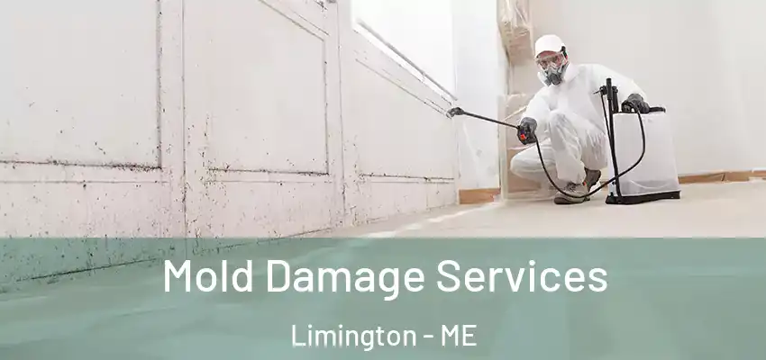  Mold Damage Services Limington - ME
