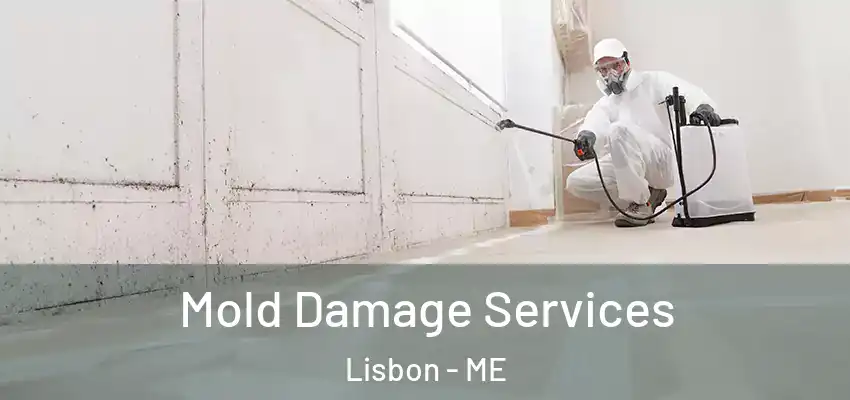 Mold Damage Services Lisbon - ME