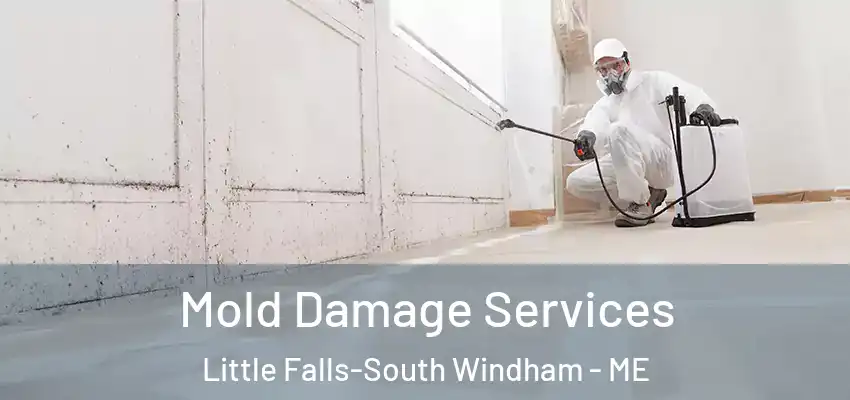 Mold Damage Services Little Falls-South Windham - ME