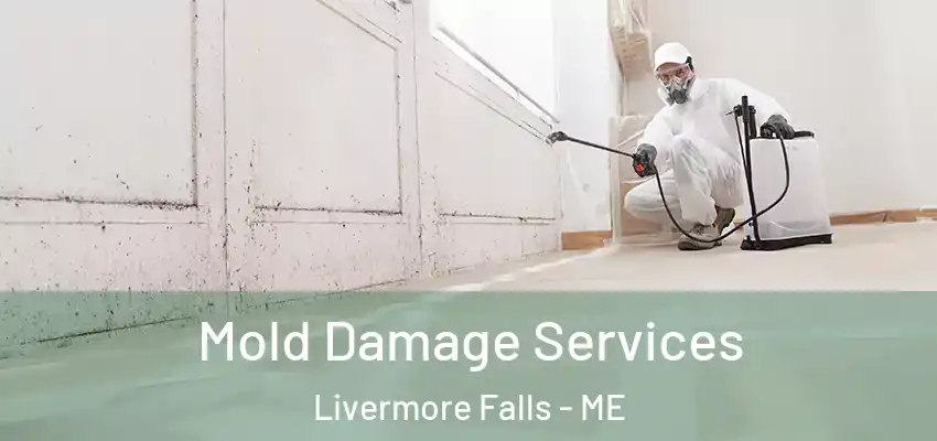 Mold Damage Services Livermore Falls - ME