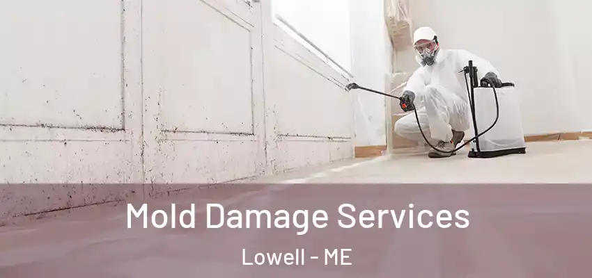  Mold Damage Services Lowell - ME