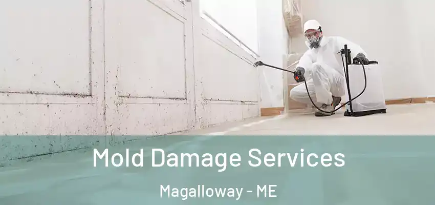  Mold Damage Services Magalloway - ME