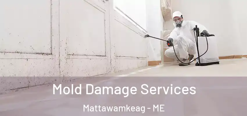  Mold Damage Services Mattawamkeag - ME