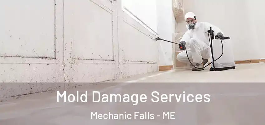  Mold Damage Services Mechanic Falls - ME