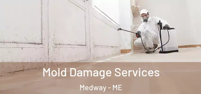  Mold Damage Services Medway - ME