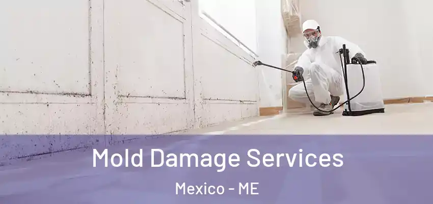  Mold Damage Services Mexico - ME