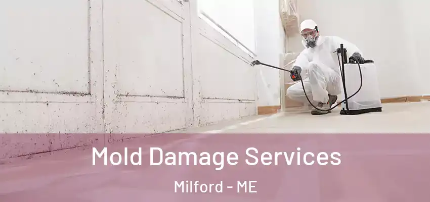  Mold Damage Services Milford - ME