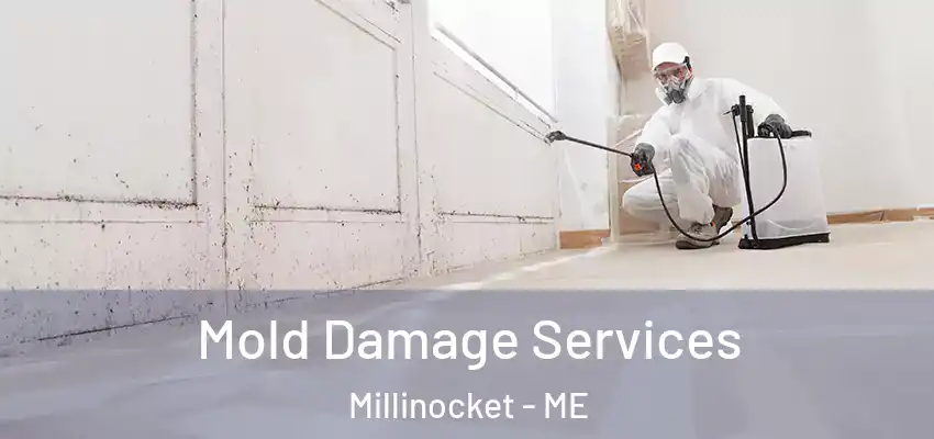  Mold Damage Services Millinocket - ME