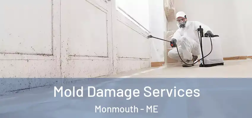  Mold Damage Services Monmouth - ME