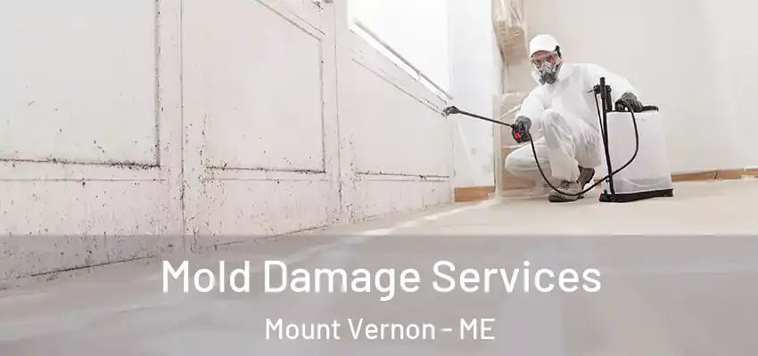 Mold Damage Services Mount Vernon - ME
