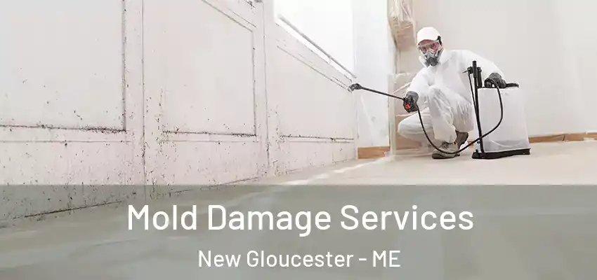  Mold Damage Services New Gloucester - ME