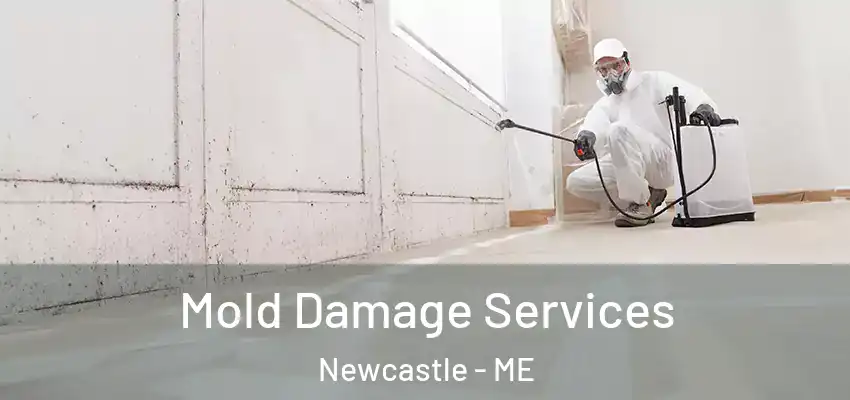  Mold Damage Services Newcastle - ME