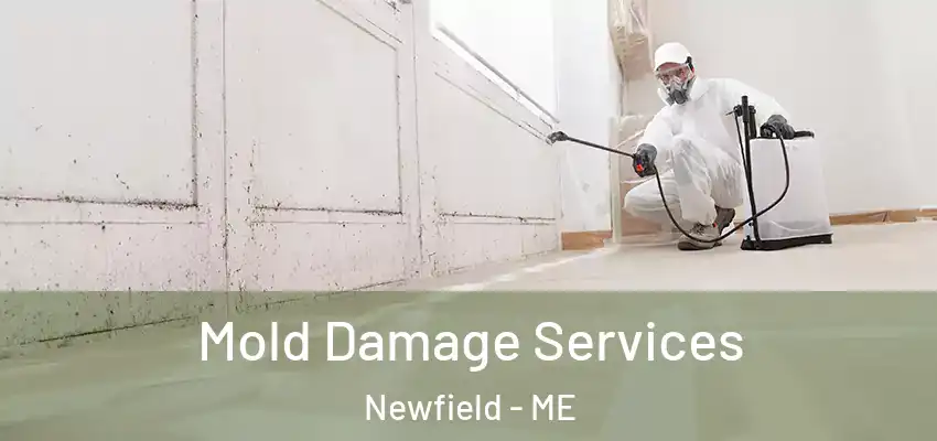  Mold Damage Services Newfield - ME