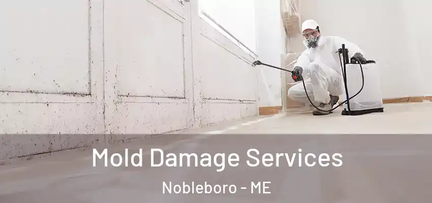  Mold Damage Services Nobleboro - ME