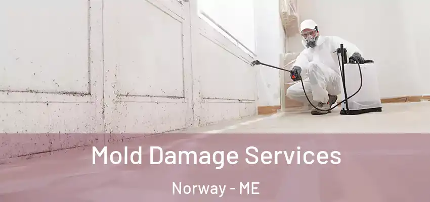  Mold Damage Services Norway - ME