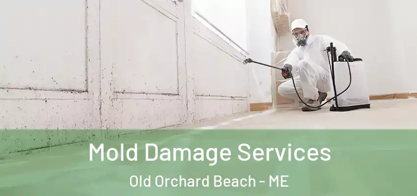 Mold Damage Services Old Orchard Beach - ME