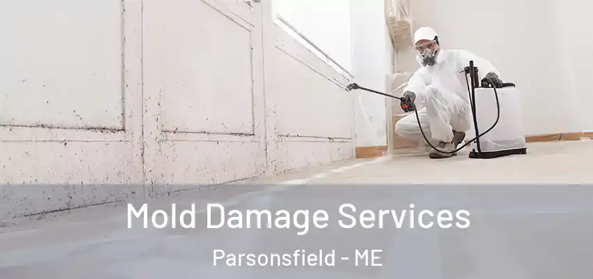  Mold Damage Services Parsonsfield - ME